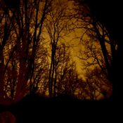 Astral Visions 091
