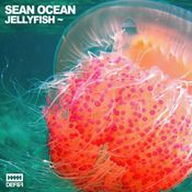 _Jellyfish