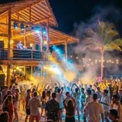 Cool Summer Vibes (House)