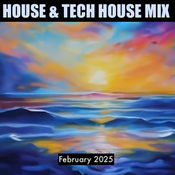 House & Tech House Mix - February 2025