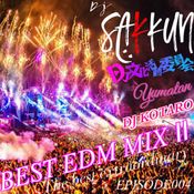 BEST EDM MIX II