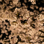 A-POP Spring emotional mix
