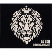 13 Years Junglist