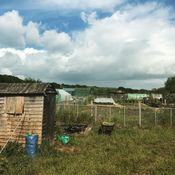 Allotment of Sound