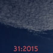 31:2015