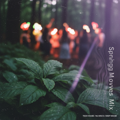 Seys Spring Moves Mix