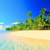 Tom Yelland Presents Paradise - The Beach (Part I)