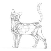 Posthumous Adventures of the Cat named Basya