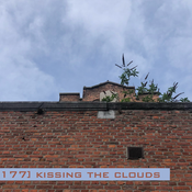 [nws.bpm0177] kissing the clouds