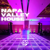 dj 6 - napa valley house (mix)