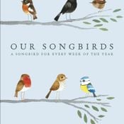 Matt Sewell 'Our Songbirds' book launch mix by Pete Fowler