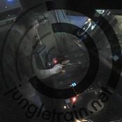 DJ Problem Child - Live On Jungletrain.net 14.1.2026 (2025-2026 Modern Jungle/Drum & Bass Vinyl)
