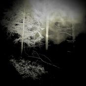Out of the Dark w/ Shade Shepherd - 27/02/2026