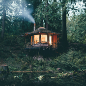Back To The Nature