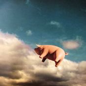 Gilmour's PIGS