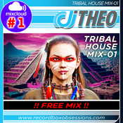 Tribal House Mix-01 - DJ Theo