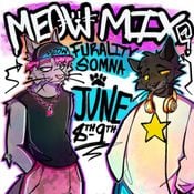 MeowMix @ Furality Somna
