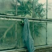 Capital Decay w/ Patricia Brito & Luar Domatrix: 13th May '20
