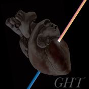 GHT015Live Stereogamous