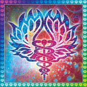 Laboratorium #15: ConSoul