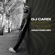 Shway Vibes (Amapiano Mix)