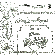 anteprima SPRING DISCO PR 27.03.86