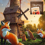 Warum lebst du in einer Gemeinschaft?