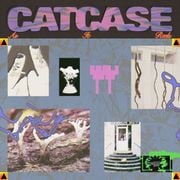 Catcase