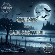 Radio Nachtflug 11:04:2025 Meersein meets RNF