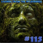 #115 Sounds From The Wilderness 19 Nov 2023