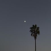 Twilight Journeys I