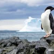 Face2Face with Tim & Linda Forrester - 29th November 2024