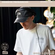 09/11/2024 - Cohesive Frequencies