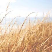 Mori To Kiroku No Ongaku - 21st June 2019 - LYL Radio