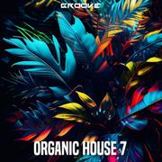 Groove Organic House 7