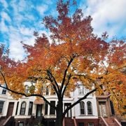 music for the metaverse 2