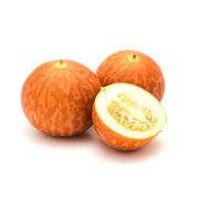 Tigger Melons: A Complete Growing Guide for Japanese Tiger Melon Plants and Seeds - Audio Blog