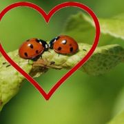 Crimson & Clover w/ Claudia & Denis | 05/19/24