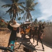 Ser: Sounds for Sunny Days