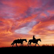 Fiddles & Fords #47, 2.3.24