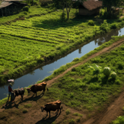 Types and Examples of Integrated Organic Farming Systems for Sustainable and Pure Agriculture
