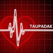 TAUPADAK #001 //Gori