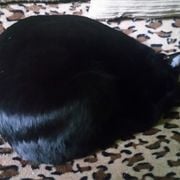 M3M0RYL34K 00000080 2024.09.01