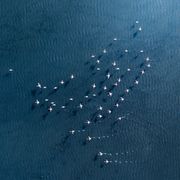 Theron Smith - Dance R&B Mix