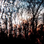 #547 - Ton territoire