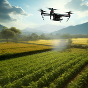 The Harmony Of Tradition And Innovation At Bloom Ranch - Audio Blog