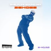 Shelflife Sound Mix 010: 2Shoes