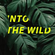 Cocosova - Into the wild (tribal/organic mix)