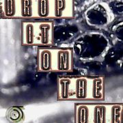 Drop It On The One - jungletrain.net - 2/4/26