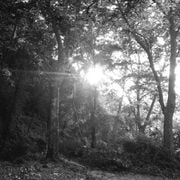 Núvol de fum 510 | abril